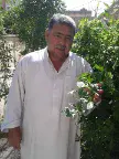 رشيد